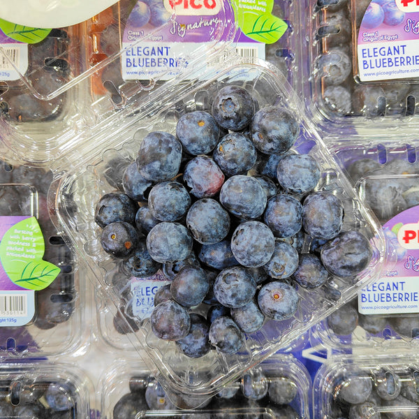 Egypt Blueberry [125G/Pack]-Berries-MBG Fruit Shop