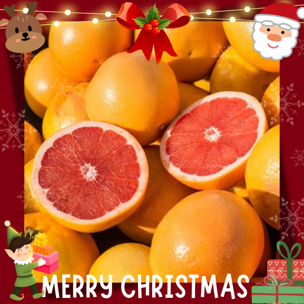 Egypt Grapefruit (M) [6 Pcs]-Citrus-MBG Fruit Shop