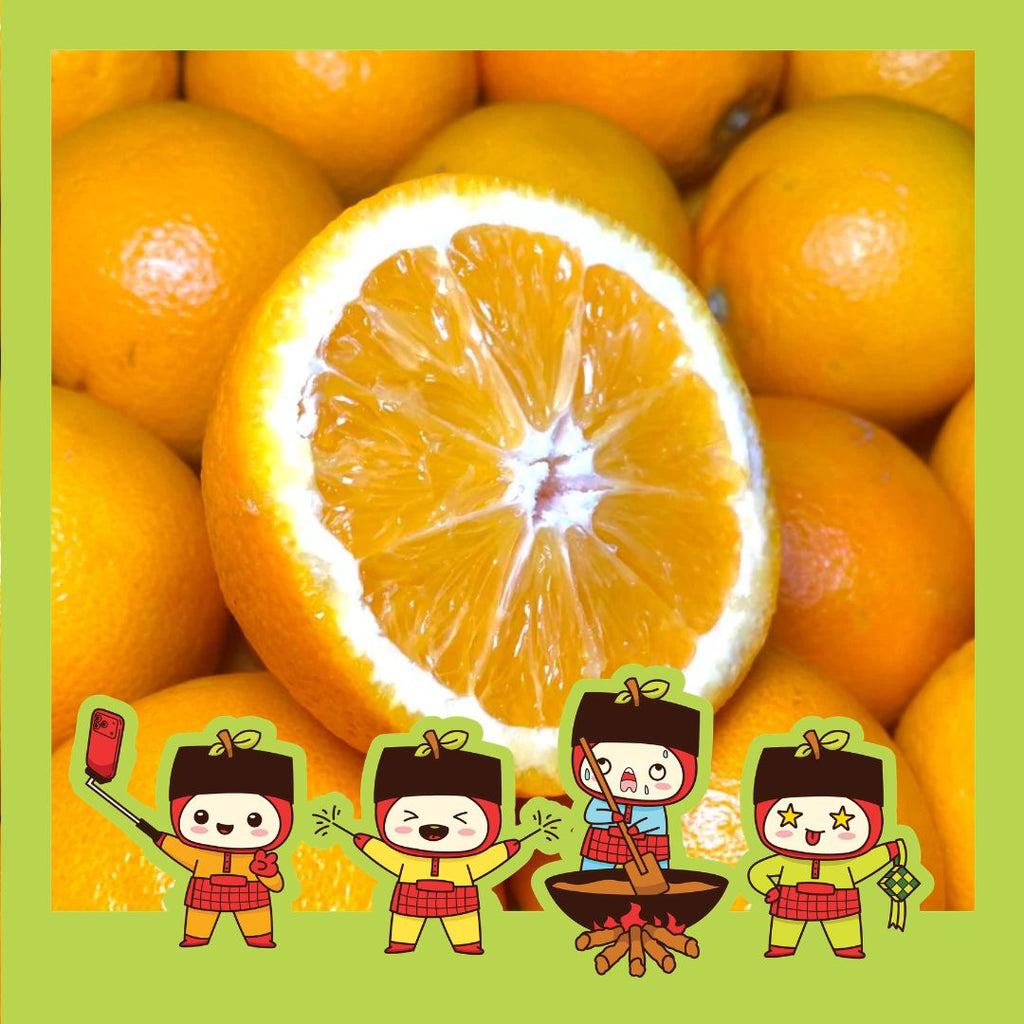 Egypt Lane Late Navel Orange (M) [5pcs]-MBG Fruit Shop