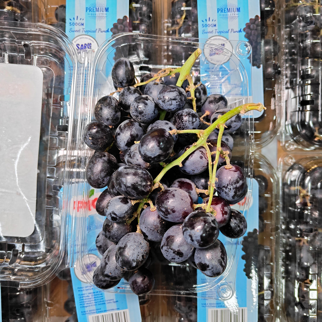 Egypt Sable Seedless Black Grape [500G/Pack]-Grapes-MBG Fruit Shop