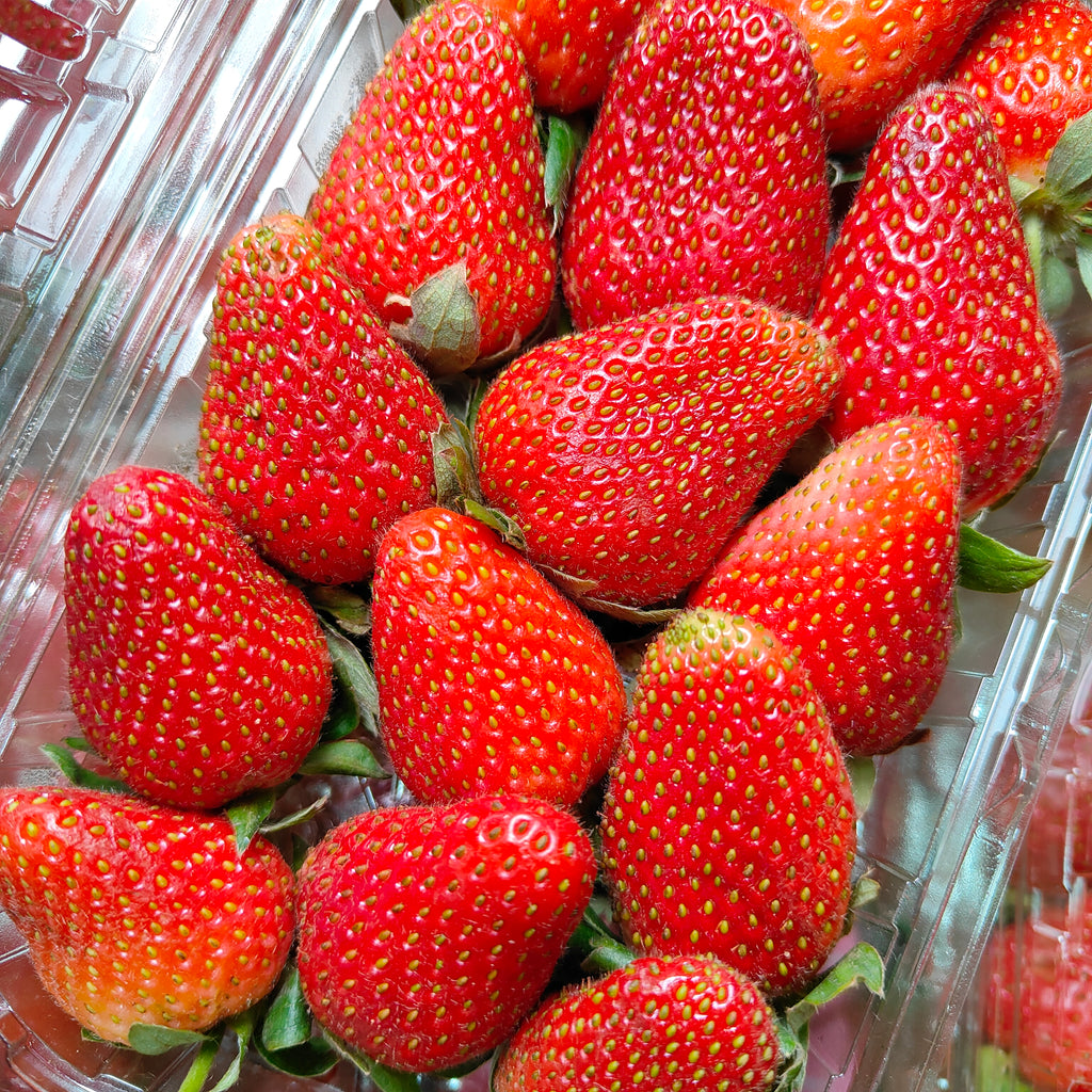 Egypt Strawberry [250G/Pack]-Berries-MBG Fruit Shop