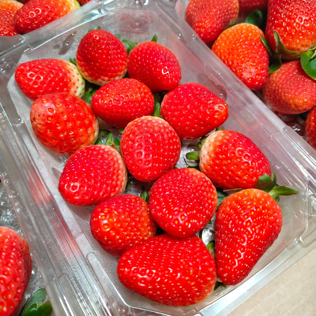 Egypt Strawberry [250G/Pack]-Berries-MBG Fruit Shop