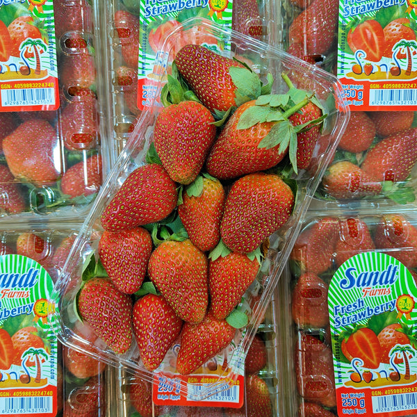 https://mbg.com.my/cdn/shop/files/Egypt-Strawberry-250GPack-Berries_600x.jpg?v=1703786253