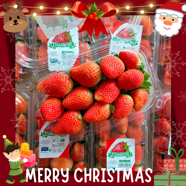 Egypt Strawberry [250G/Pack]-Berries-MBG Fruit Shop