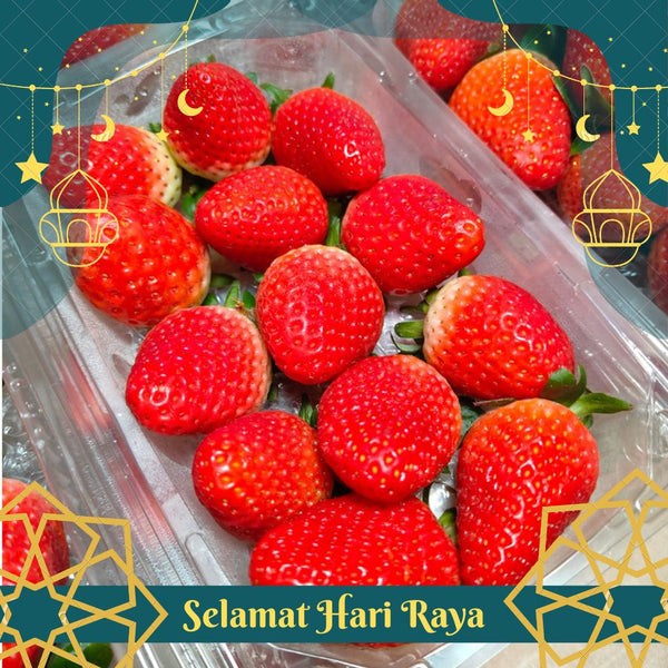 Egypt Strawberry [250G/Pack]-Berries-MBG Fruit Shop
