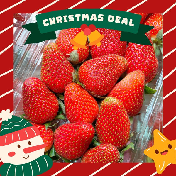 Egypt Strawberry [250G/Pack]
