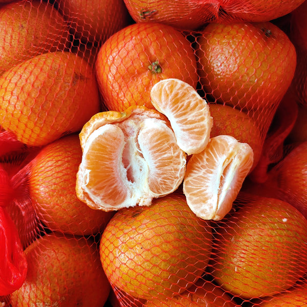Egypt Tango Mandarin (M) [7Pcs/Pack]-Citrus-MBG Fruit Shop