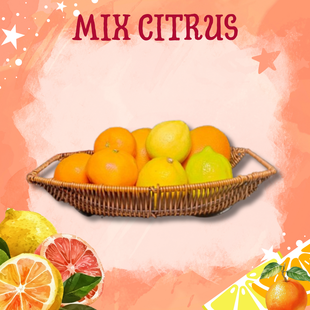 Healthy Snack - Mix Citrus-Mix & Match-MBG Fruit Shop