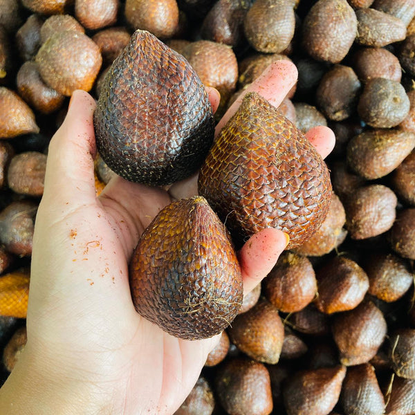 Indonesia Fresh Salak [+/-500G]-Exotic Fruits-MBG Fruit Shop