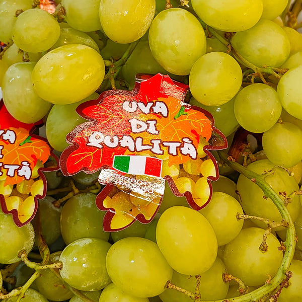 Italy Autumn Crisp Green Grape [500G/Pack]-Grapes-MBG Fruit Shop