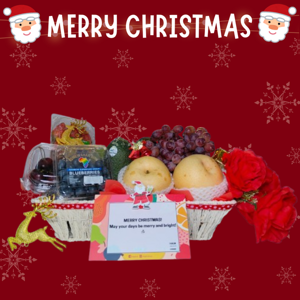 Jolly Christmas Fruit Basket-Xmas Special-MBG Fruit Shop