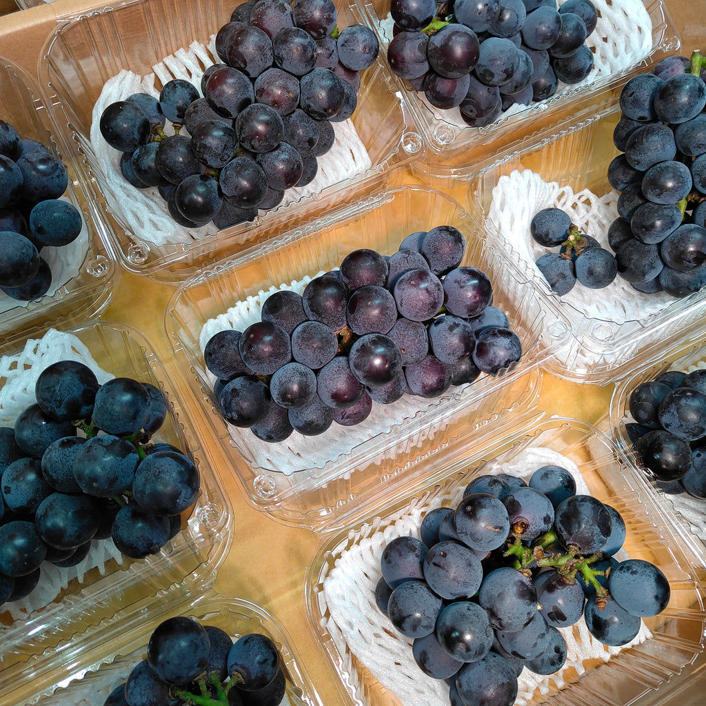 Korea Kyoho Black Grape (1 Pack) [+/-450G]-Grapes-MBG Fruit Shop