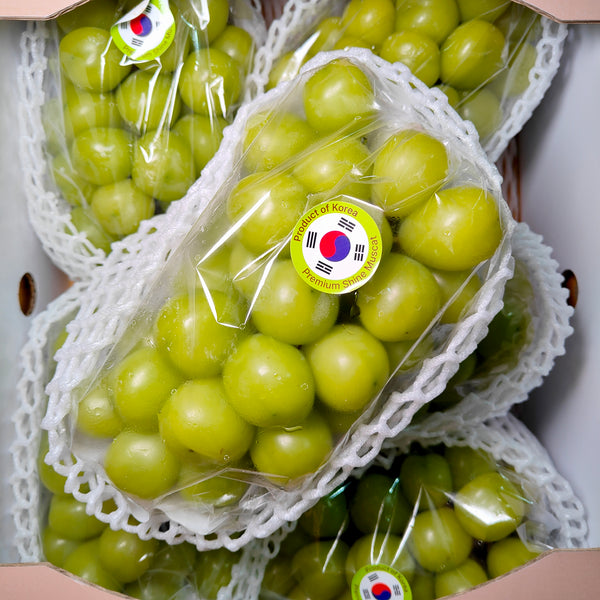 Korea Shine Muscat Green Grape [+/-700G]-Grapes-MBG Fruit Shop