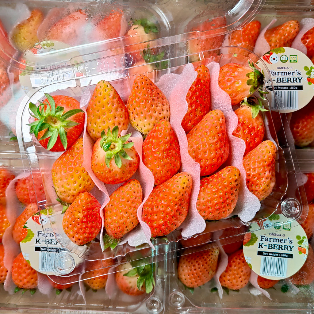 Korea Strawberry [250G/Pack]-Berries-MBG Fruit Shop
