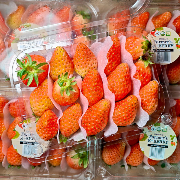 Korea Strawberry [250G/Pack]-Berries-MBG Fruit Shop