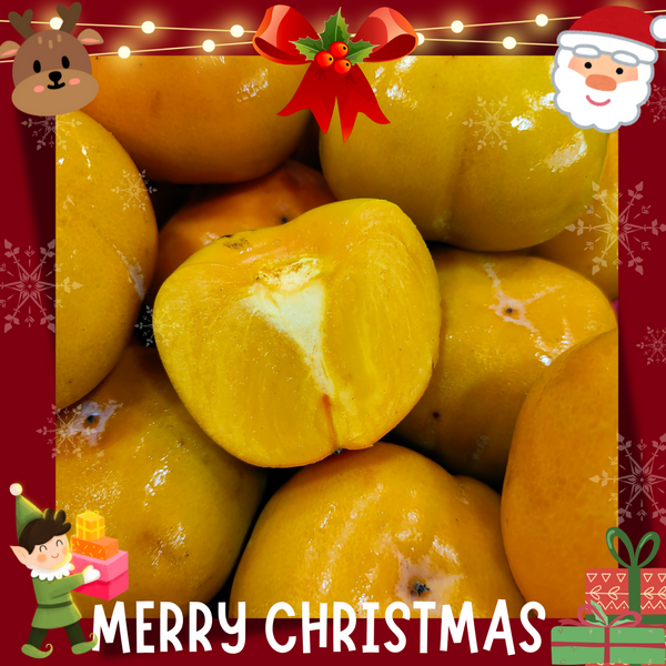 Korea Sweet Persimmon (M) [5 Pcs]-Citrus-MBG Fruit Shop