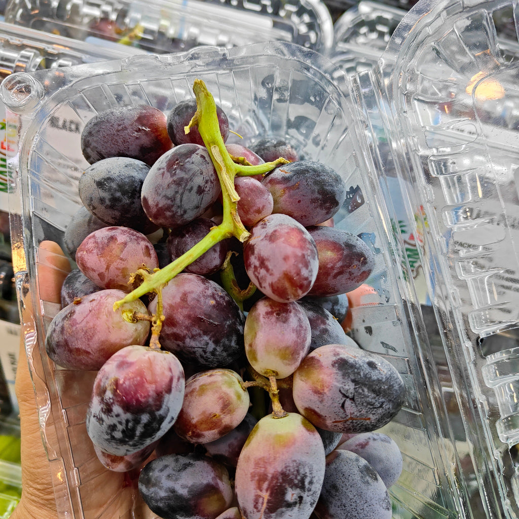 Lebanon Arra 32 Black Grapes [500G/Pack]-Grapes-MBG Fruit Shop