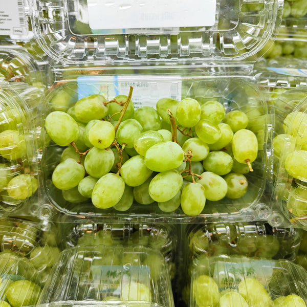 Lebanon Green King Grape [500G/Pack]-Grapes-MBG Fruit Shop