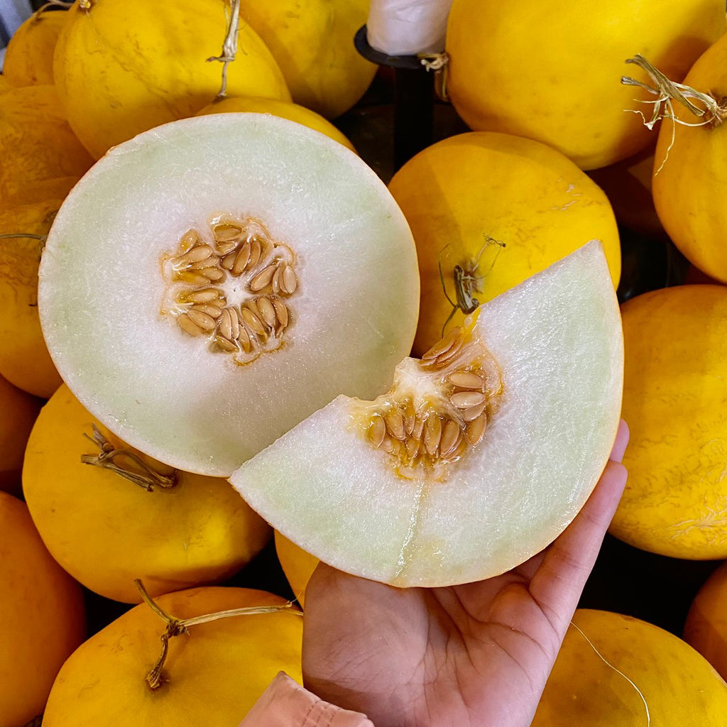 Malaysia Golden Melon [1 Pc] (+/-1.3KG)-Exotic Fruits-MBG Fruit Shop