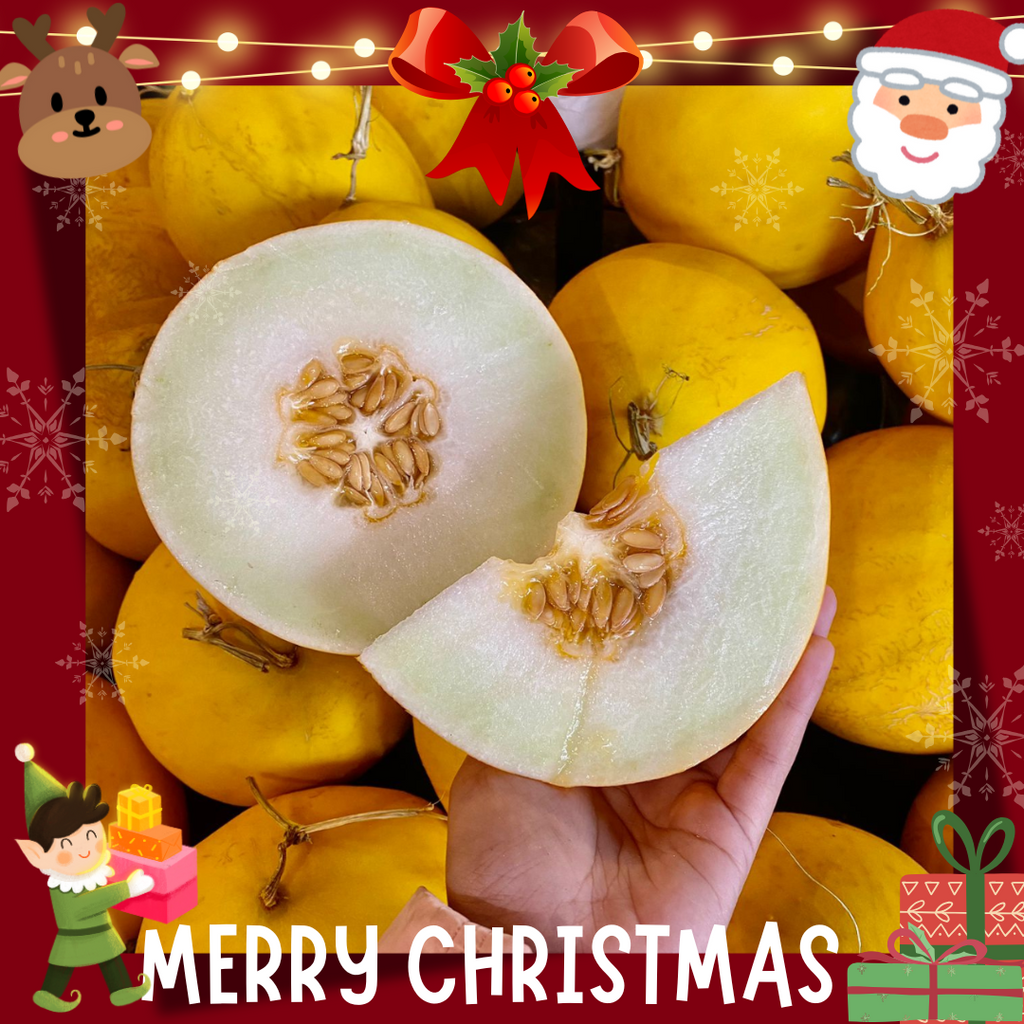 Malaysia Golden Melon [1 Pc] (+/-1.4Kg)-Exotic Fruits-MBG Fruit Shop