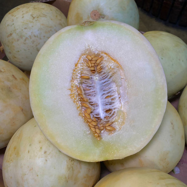 Malaysia Honey Dew [+/-0.9Kg]-Exotic Fruits-MBG Fruit Shop