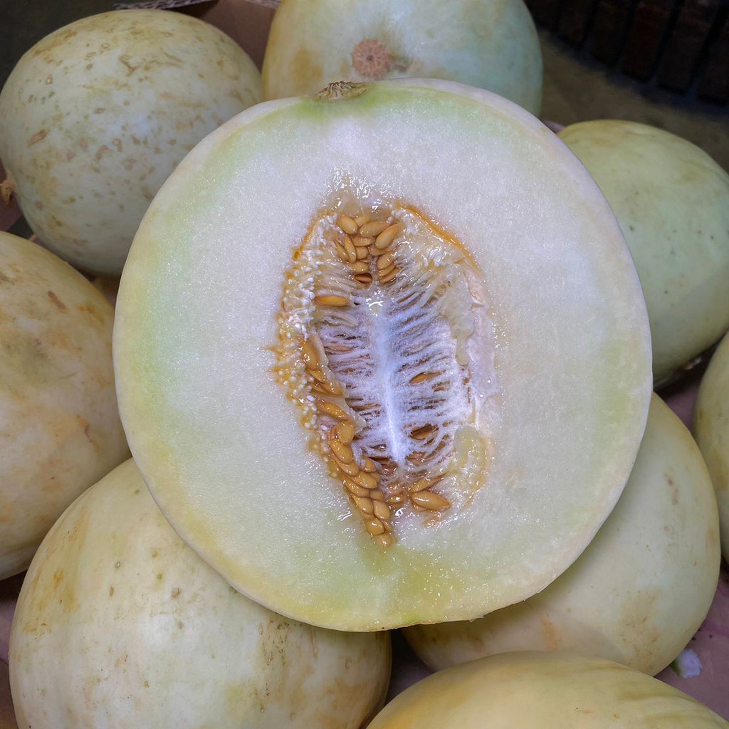 Malaysia Honey Dew [+/-1.2Kg]-Exotic Fruits-MBG Fruit Shop