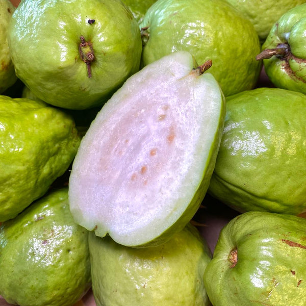 Malaysia Jambu Batu [+/-1kg]-Exotic Fruits-MBG Fruit Shop