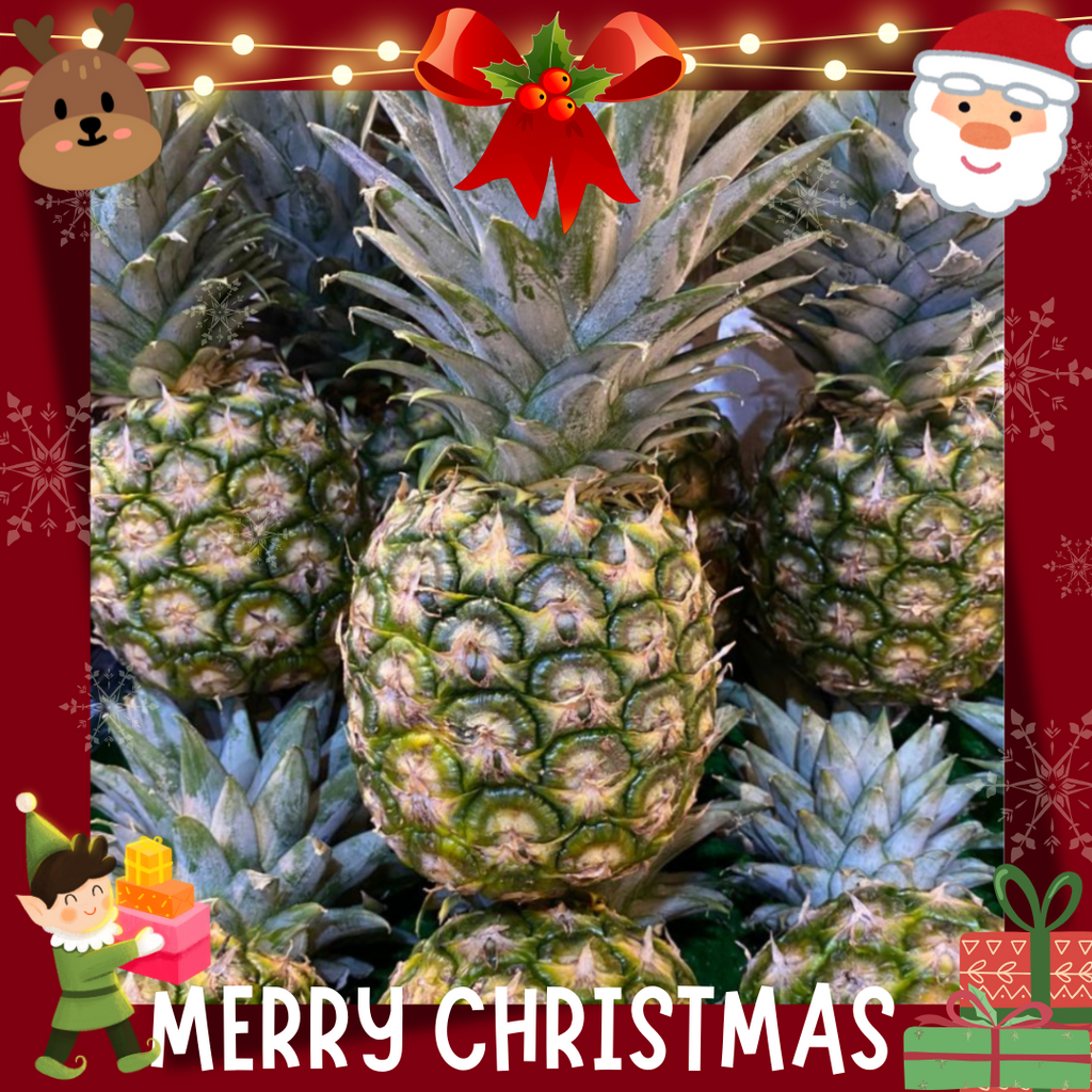 Malaysia MD2 Pineapple [+/-2.0Kg]-Berries-MBG Fruit Shop