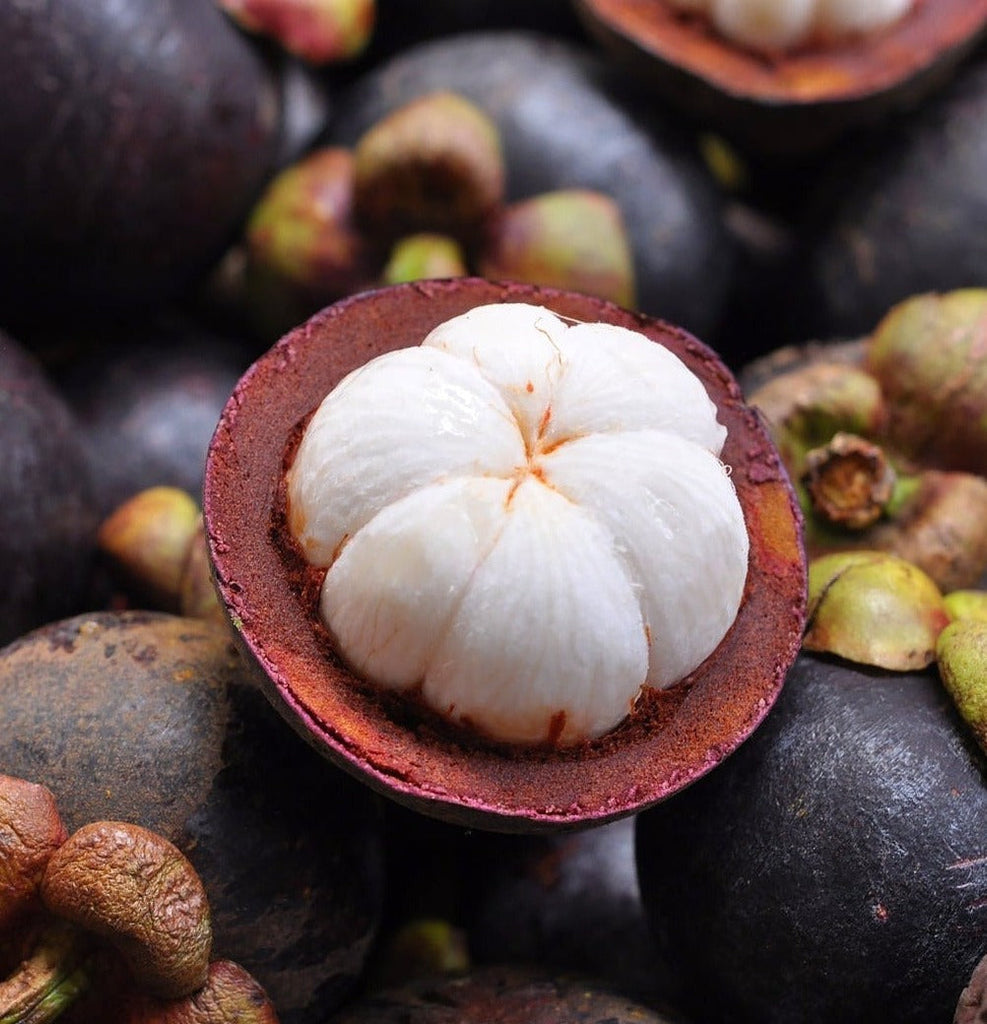 Malaysia Mangosteen [+/-1Kg]-Exotic Fruits-MBG Fruit Shop