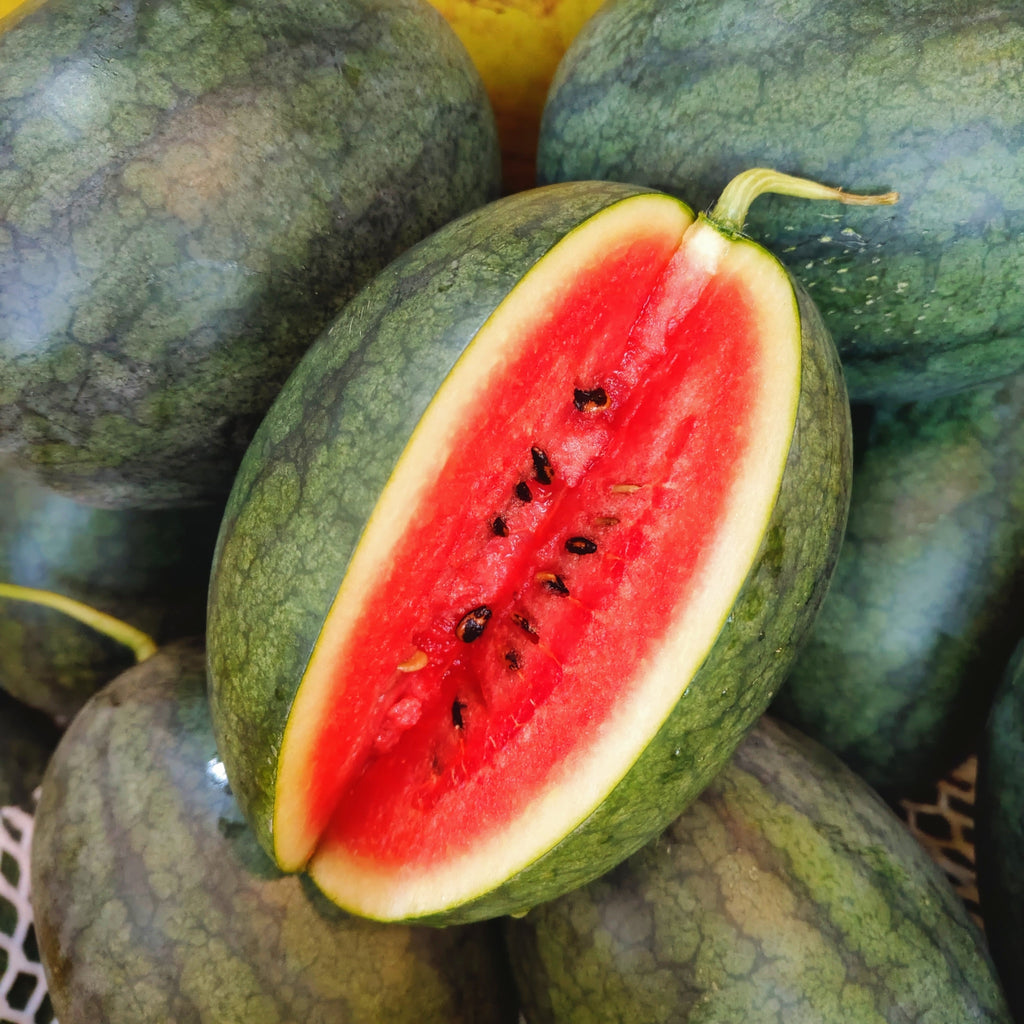 Malaysia Mini Red Watermelon [1 Pc]-Exotic Fruits-MBG Fruit Shop