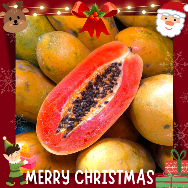 Malaysia Papaya Hong Kong [+/-1.5Kg]-Exotic Fruits-MBG Fruit Shop