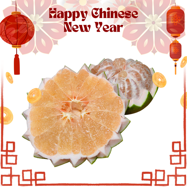 Malaysia Pomelo (1 Pc) [+/-2.0Kg]-Citrus-MBG Fruit Shop