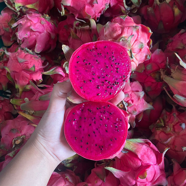 Malaysia Red Dragon Fruit (L) [+/- 1.2kg]-Exotic Fruits-MBG Fruit Shop