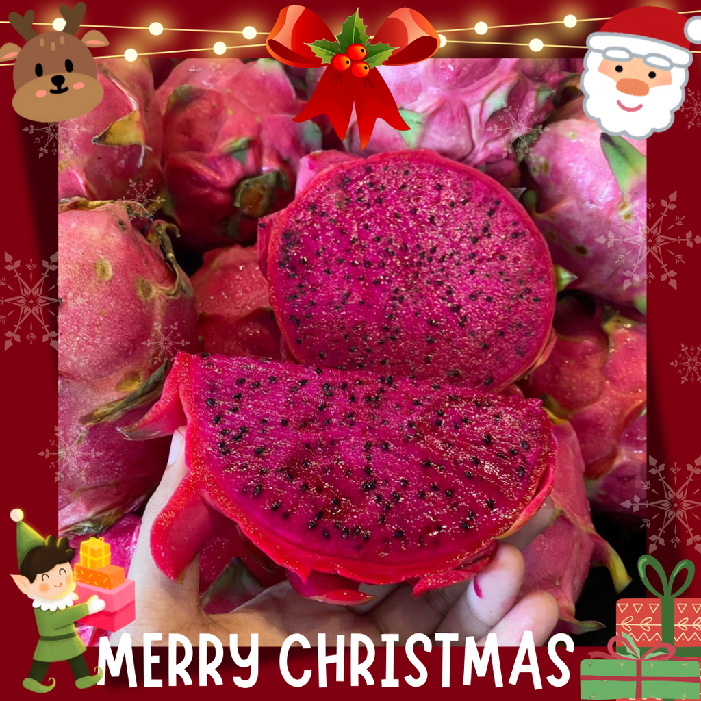 Malaysia Red Dragon Fruit (L) [2 Pcs] (+/-1.2Kg)-Exotic Fruits-MBG Fruit Shop