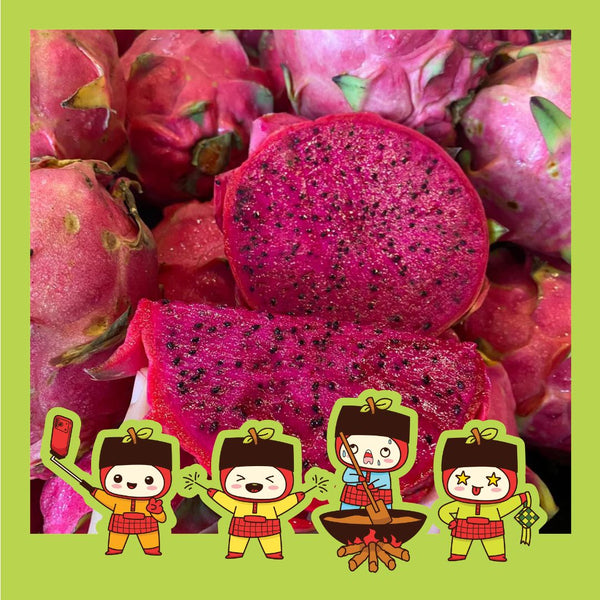 Malaysia Red Dragon Fruit (XL) [2 Pcs]-Exotic Fruits-MBG Fruit Shop