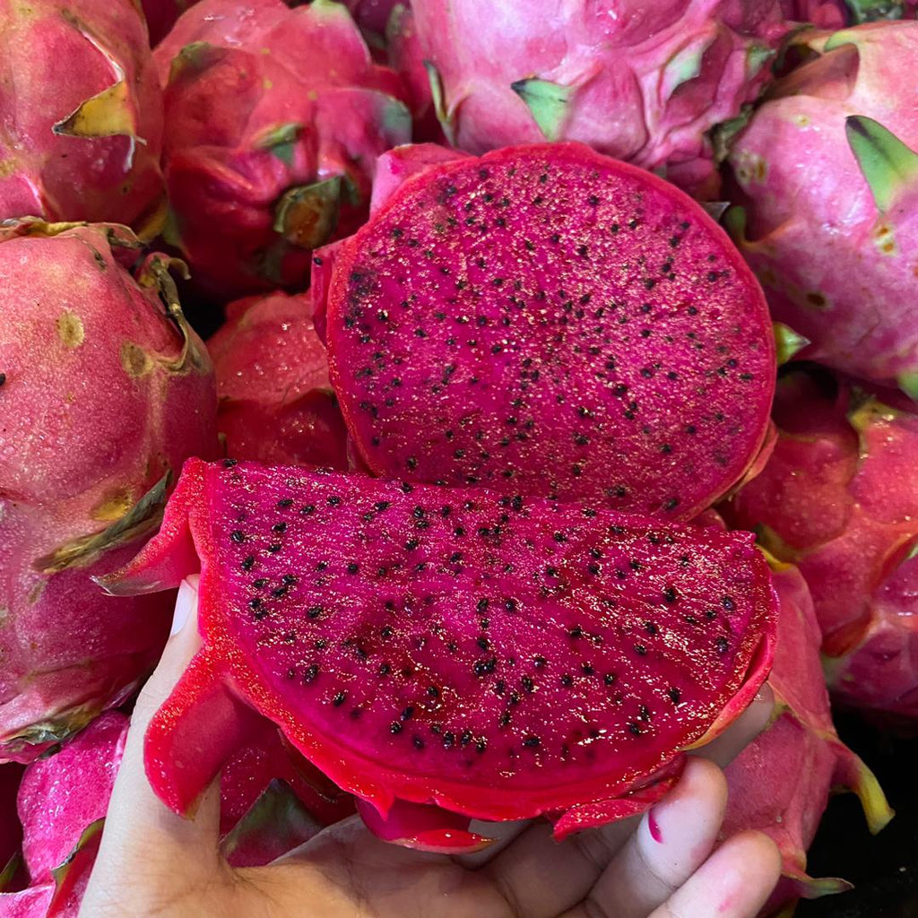 Malaysia Red Dragon Fruit (XL) [2 Pcs]-Exotic Fruits-MBG Fruit Shop