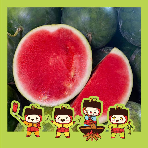 Malaysia Red Watermelon [+/-7Kg]-Exotic Fruits-MBG Fruit Shop