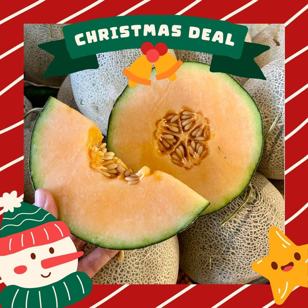 Malaysia Rock Melon [1 Pc] (+/- 1.4Kg)-Exotic Fruits-MBG Fruit Shop