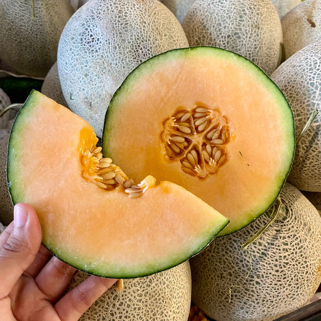 Malaysia Rock Melon [1 Pc] (+/- 2.9Kg)-Exotic Fruits-MBG Fruit Shop