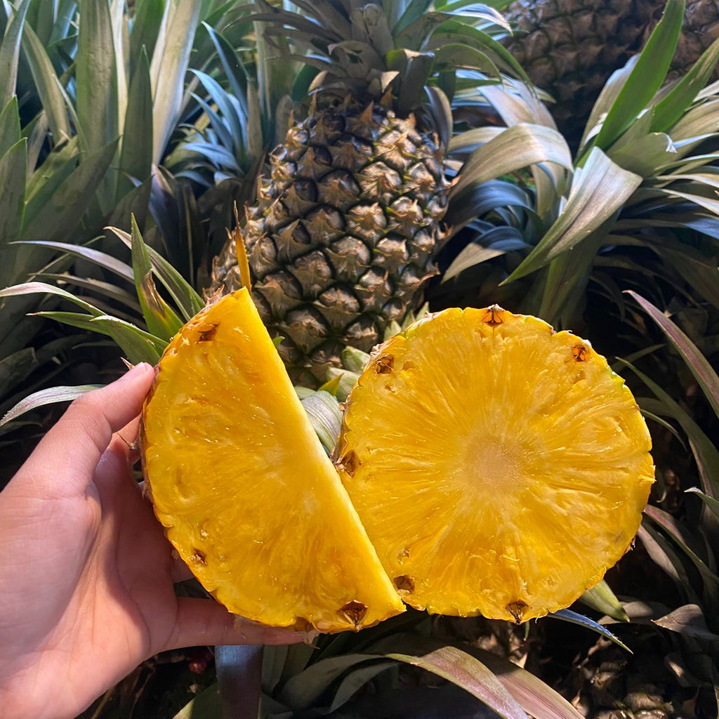 Malaysia Sarawak Pineapple [1 Pc]-Berries-MBG Fruit Shop