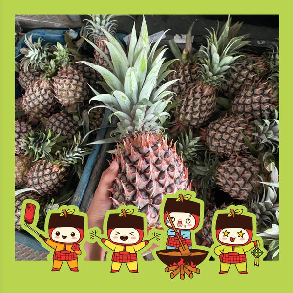 Malaysia Sweet Josapine Pineapple [1 Pc]-Exotic Fruits-MBG Fruit Shop