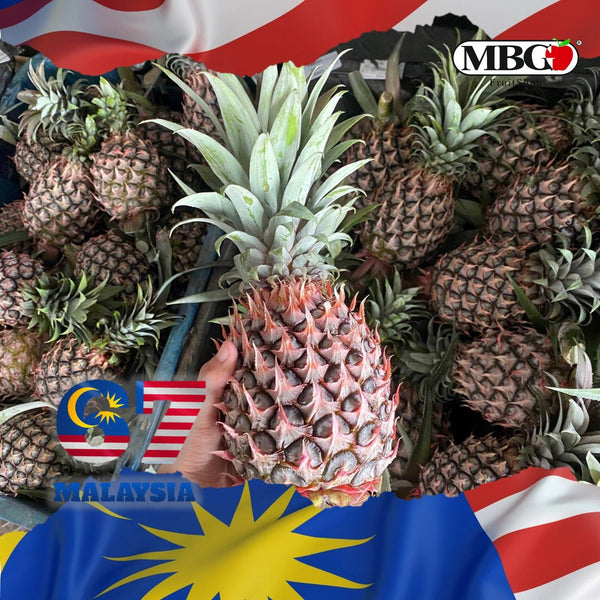 Malaysia Sweet Josapine Pineapple-Exotic Fruits-MBG Fruit Shop