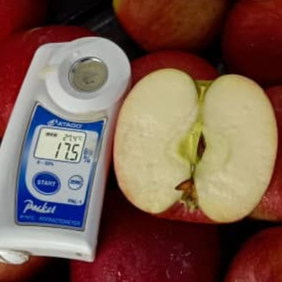New Zealand Envy Apple (XL) (2 Pcs) MBG Fruit Shop