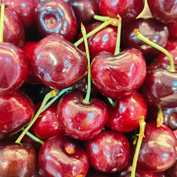 New Zealand Queen Kootenay Cherry [250G/Pack]-Stone Fruits-MBG Fruit Shop