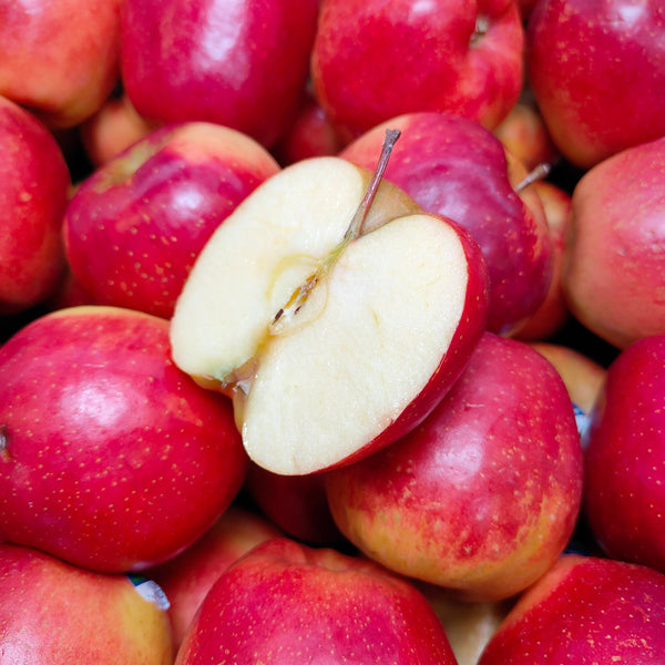 New Zealand Queen Red Apple (M) (4 Pcs)-Apples Pears-MBG Fruit Shop