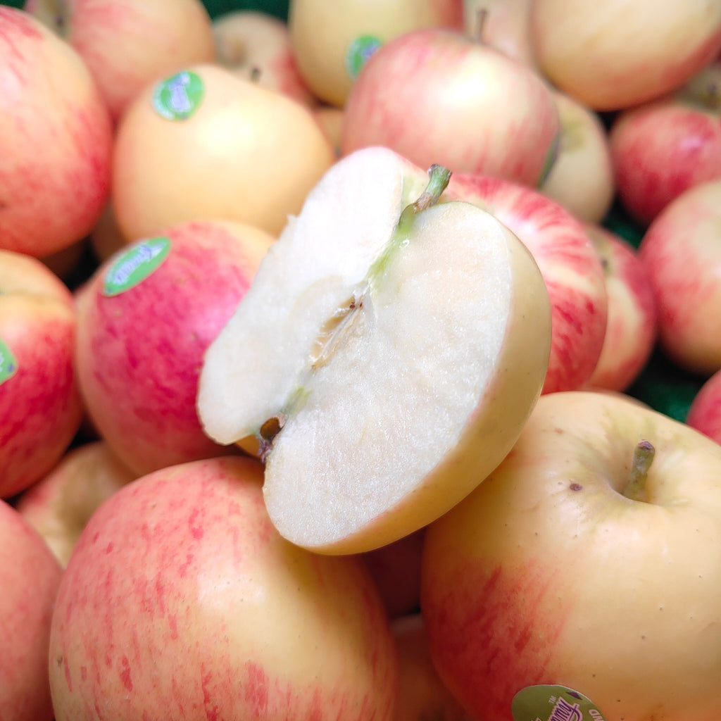 New Zealand Yummy Amber Rose Apple (M) [5 Pcs]-Apples Pears-MBG Fruit Shop