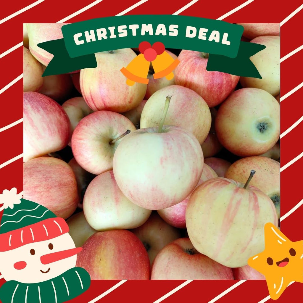 Serbia Bloom Royal Gala Apple (S)-Apples Pears-MBG Fruit Shop