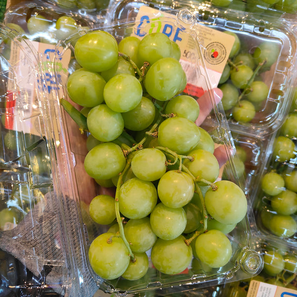 South Africa Autumn Crisp Green Grape [500G/Pack]-Grapes-MBG Fruit Shop