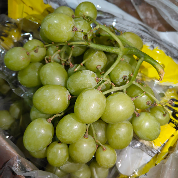 South Africa Autumn Crisp Green Grape XXL [500G/Pack]-Grapes-MBG Fruit Shop