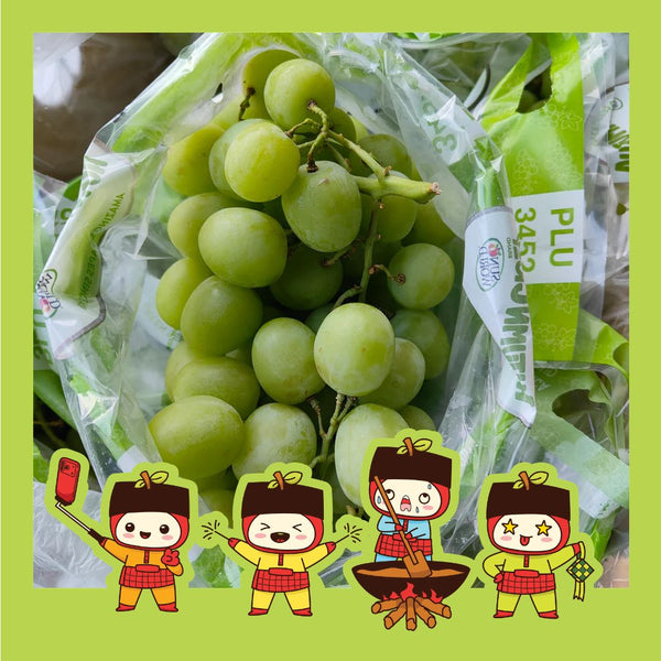 South Africa Autumn Crisp Green Grape XXL [750G/Pack]-Grapes-MBG Fruit Shop
